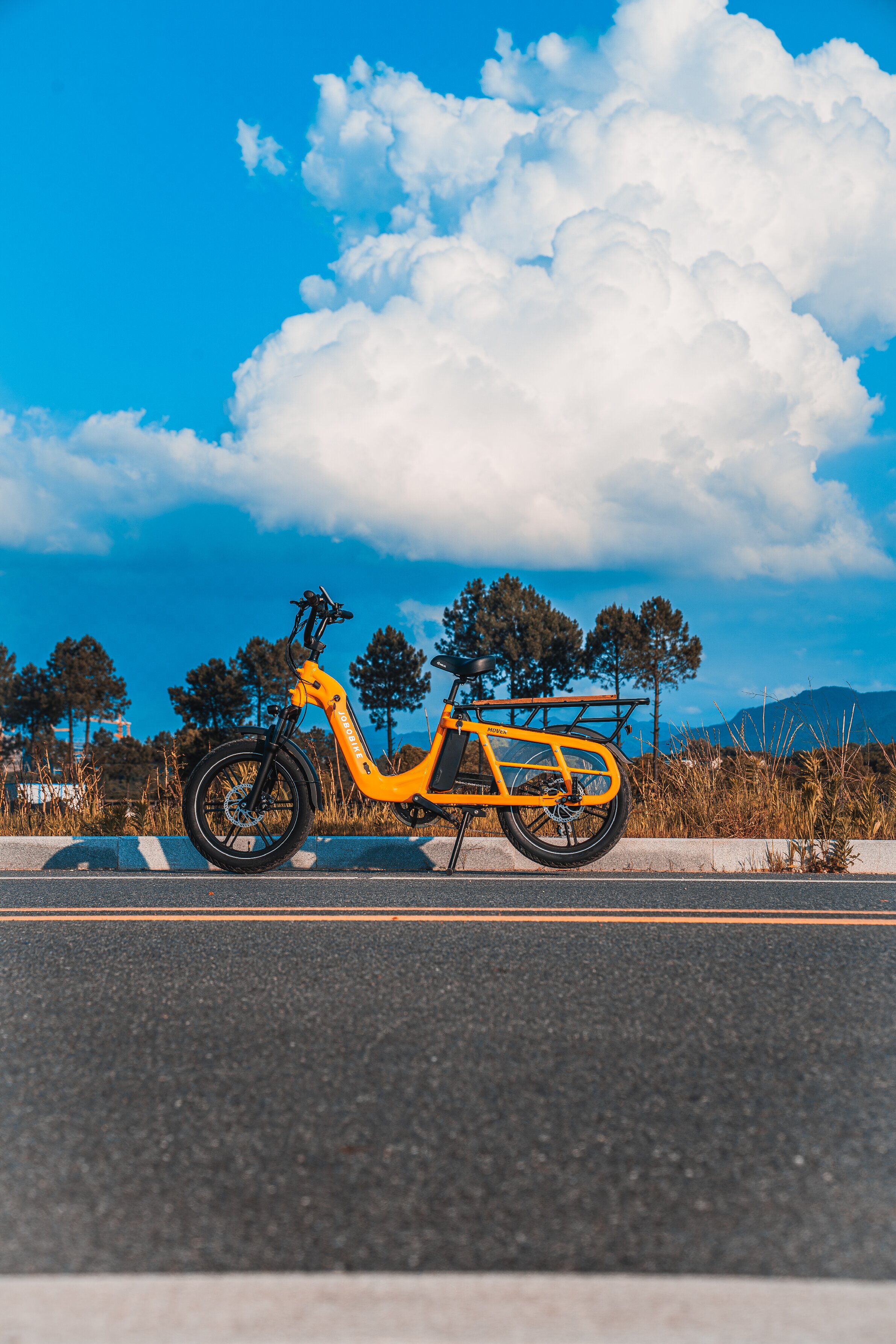 Why Choose This eBike