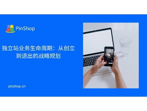 独立站业务生命周期：从创立到退出的战略规划