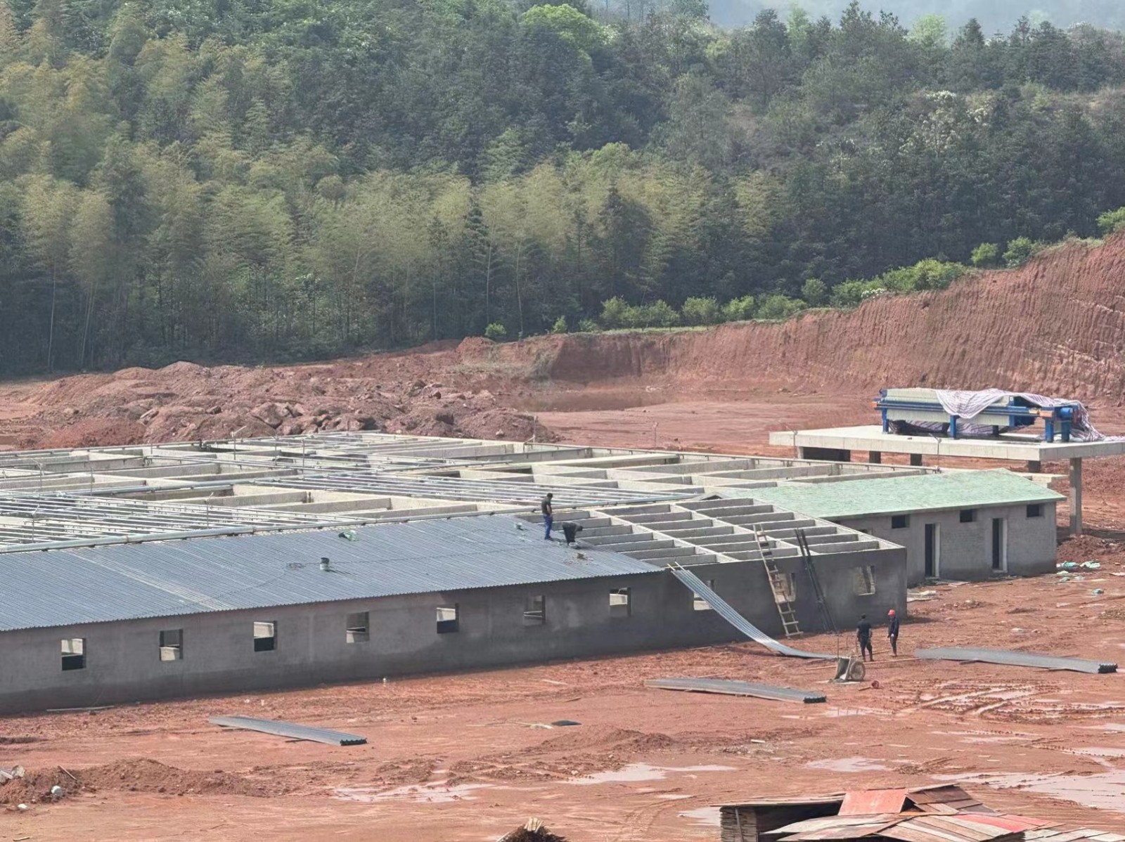 项目名称:养猪场