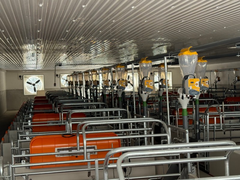 项目名称:猪圈棚